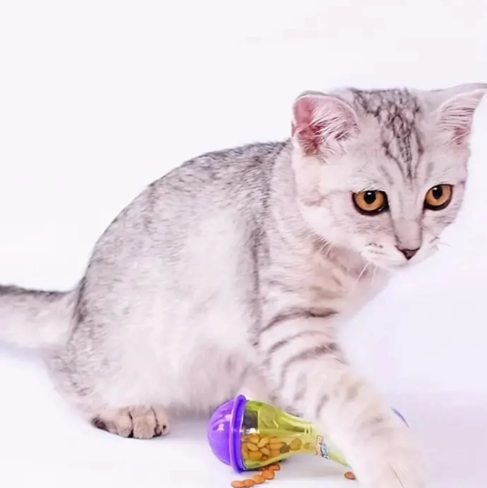 Shaking cat treat puzzle toy